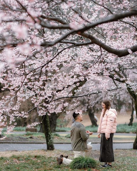 From a very rainy and windy morning back in March. Capturing the proposal for these two. The great thing about this weather is that we get the place almost for ourselves. The rain was actually very welcomed as it had a meaning for the couple. Congratulations T & M ☔️💍 Many couples flew to Tokyo for the cherry blossoms and we were expecting the full bloom around these dates but nature had other plans. Despite this we managed to make the best from what we got, a few trees blooming. . . ... Cherry Blossom Proposal, Japan Proposal, Cherry Blossom Couple, Cherry Blossom Wedding, Were Expecting, The Proposal, Wedding Proposals, Proposal Ideas, Cherry Blossoms