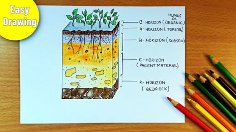 layers of soil diagram || how to draw soil profile diagram Soil Profile Drawing, Layers Of Soil Drawing, Soil Profile Diagram, Soil Diagram, Soil Profile, Layers Of Soil, Profile Drawing, Soil Layers, Science Fair Projects