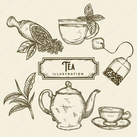 Tea Leaves Aesthetic, Tea Illustration Art, Tea Leaves Illustration, Premium Tea Packaging, Anatomy Of Plants, Black White Food, Food Sketch Illustration, Organic Tea Brands, Tea Drawing