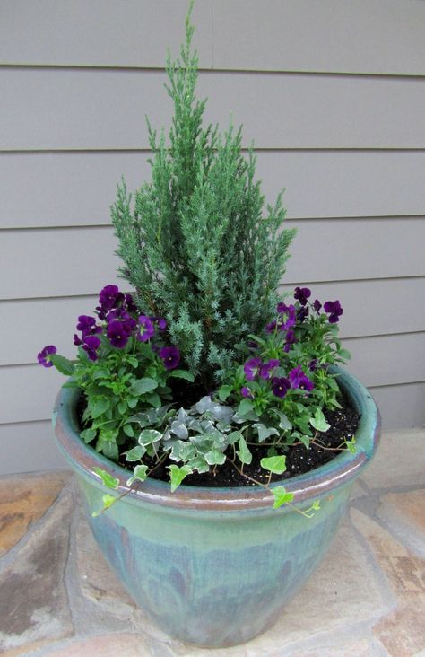 Add some winter color with tips on container gardens from Scotts Miracle Gro. Remember the "three shape rule." #garden #containergarden Winter Pansies, Winter Container Gardening, Fall Container Gardens, Winter Planter, Fall Containers, Container Garden Design, Container Gardening Flowers, Diy Flower Pots, Winter Plants