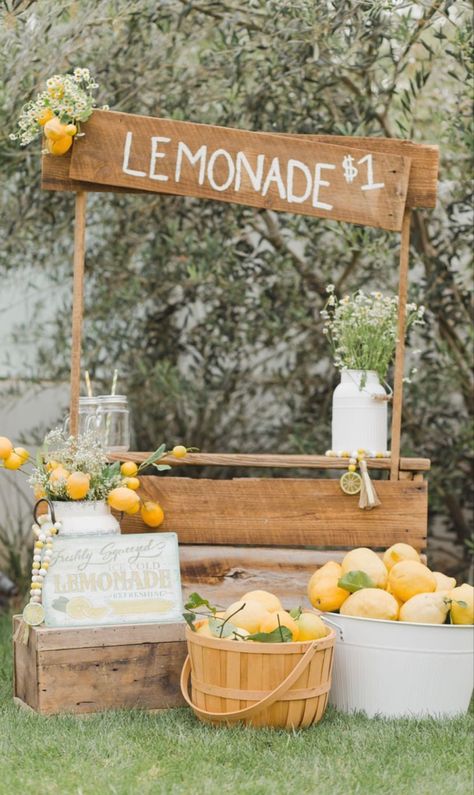 Kids Lemonade Stands, Lemonade Stand Birthday, Lemonade Stand Party, Lemon Farm, Diy Lemonade Stand, Kids Lemonade, Diy Lemonade, Lemonade Bar, Summer Lemonade