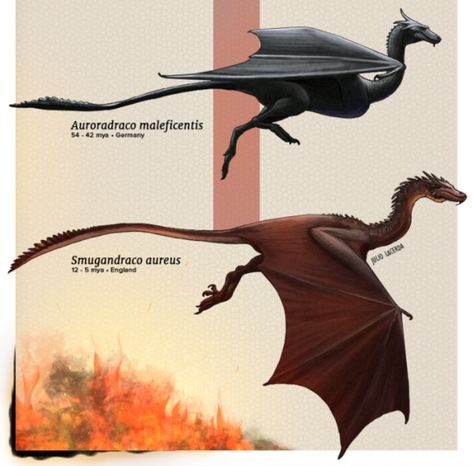 The Casual Paleoartist Animal Evolution, Fantastical Creatures, Mythological Animals, Cool Dragons, Ancient Animals, Paleo Art, Extinct Animals, Fantasy Creatures Art, Mythical Creatures Art