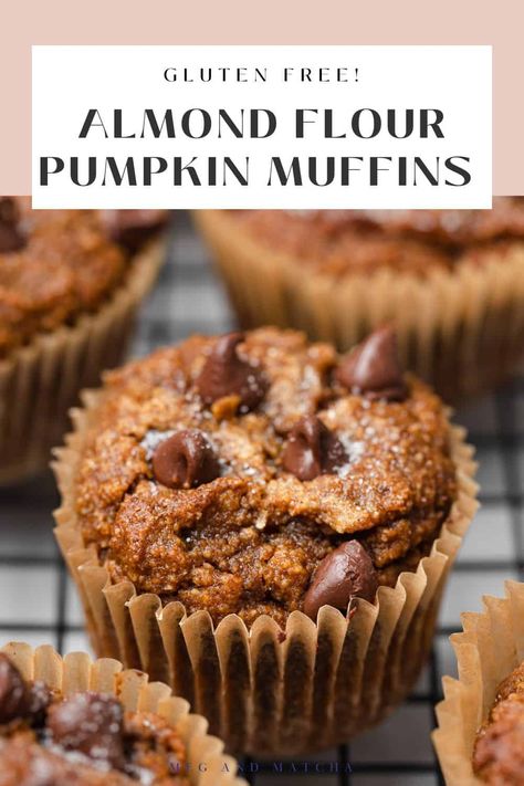 These gluten free almond flour pumpkin muffins are perfect for Fall! They are super moist, fluffy, and naturally sweetened with coconut sugar. Loaded with chocolate chips and pumpkin pie flavor, you'll want to have one every morning for breakfast! Muffins Using Almond Flour, Autumnal Desserts, Almond Flour Pumpkin Muffins, Cozy Fall Morning, Almond Flour Pumpkin, Pumpkin Banana Muffins, Breakfast Bakes, Gluten Free Pumpkin Muffins, Healthier Treats