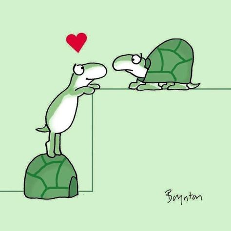 Turtle Day, Turtle Rock, Turtle Time, Turtley Awesome, Cartoon Turtle, Sandra Boynton, Tortoise Turtle, Turtle Love, Turtle Art