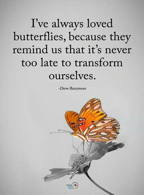 #quotes #butterfly #butterflies #inspirational #motivation Cheering Quotes, Happy Mind, Butterfly Quotes, Positive Vibrations, Spiritual Stuff, Butterfly Party, Sign Ideas, Inspirational Quotes About Love, Cute Love Quotes