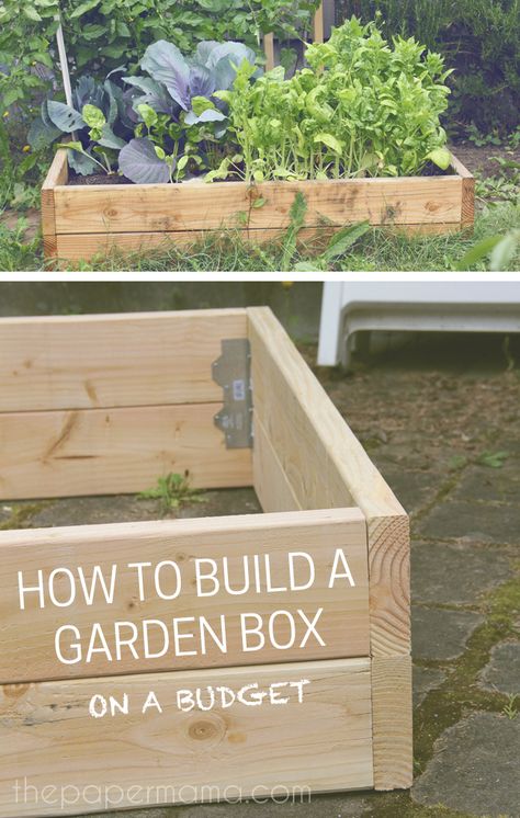 How to Build a Garden Box on a Budget: It's so Easy! Garden Design Layout Landscaping, Raised Garden Beds Diy Vegetables, Build A Garden, Garden Boxes Diy, Building Raised Garden Beds, Vegetable Garden Raised Beds, Diy Raised Garden, Front Yard Garden Design, Budget Garden