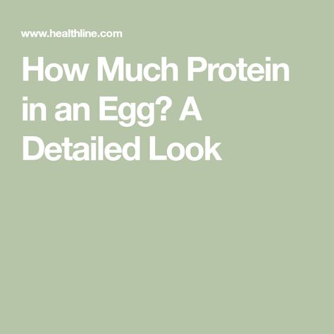 How Much Protein in an Egg? A Detailed Look How Much Protein Is In An Egg, How Many Grams Of Protein In An Egg, How Much Protein In One Egg, How Much Protein In Eggs, Egg Nutrition, High Quality Protein, Farm Fresh Eggs, Fresh Eggs, Chicken Eggs