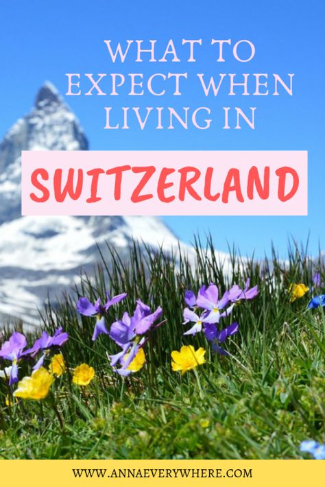 Homes In Switzerland, Moving To Switzerland, Living In Switzerland, Switzerland Living, Foreign Places, Teaching Abroad, Europe Switzerland, Living On A Boat, Moving Abroad