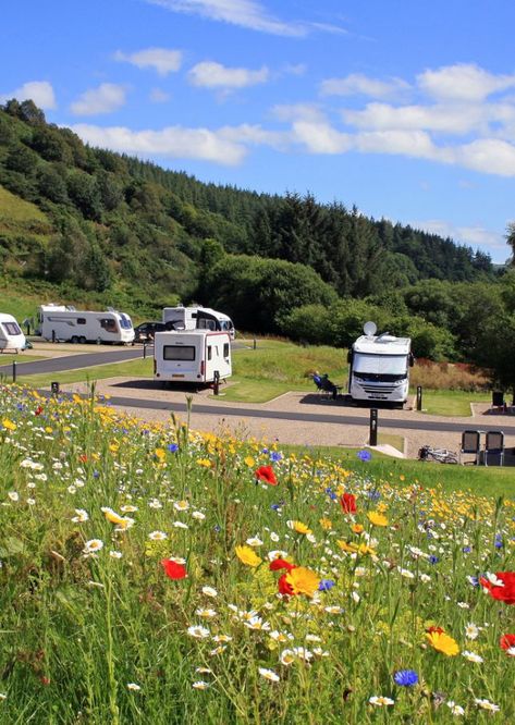 Haven Holidays Caravan, Caravan Park Aesthetic, Caravan Aesthetic, Caravan Uk, Motorhome Camping, Uk Campsites, Camping Site, Touring Caravan, Caravan Holiday