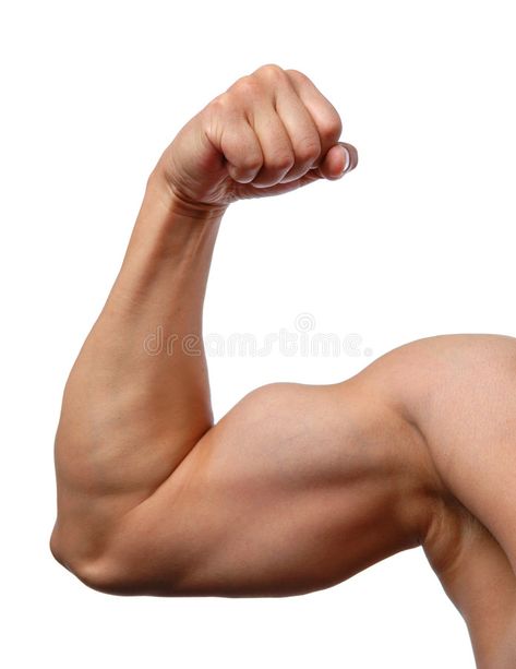 Close up of man's arm. Showing biceps , #Affiliate, #man, #Close, #arm, #biceps, #Showing #ad Men Arm Reference, Muscular Arms Reference, Bicep Reference, Arm Photo Reference, Bicep Anatomy, Arm References Photos, Arms Out Pose, Muscular Arm Reference, Buff Arms