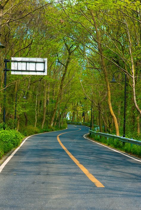 Forest Road Afternoon Road Outdoor Sports Photography Map With Pictures Background, Unmanned, Outdoor, Road Background Image for Free Download Road Hd Background, Hdr Background Photo, Road Editing Background, Road Side Background For Editing, Background Images Outdoor, Green Road Background, Outdoor Background For Editing, Road Ka Background, Road Background For Editing Hd