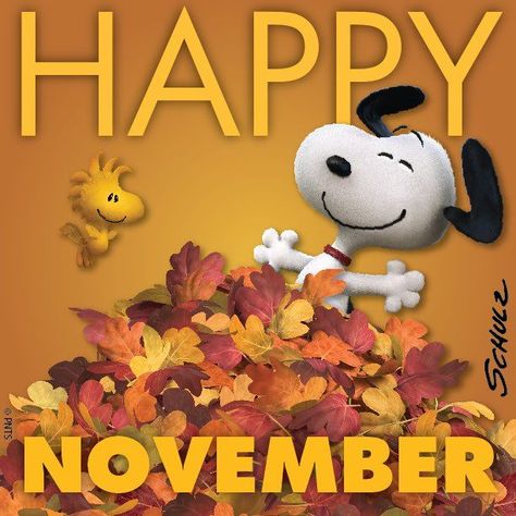 Snoopy Hello November, Good Morning November 1st, Happy November Gif, Happy November Images, Hello November Images, Happy November Quotes, Good Morning November, Gifs Snoopy, November Pictures