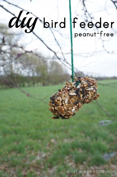 Bird Feeders For Kids To Make, Pine Cone Bird Feeder, Bird Feeder Craft, Fat Bird, Easy Bird, Homemade Bird Feeders, Classroom Activity, Diy Bird Feeder, Diy Birds