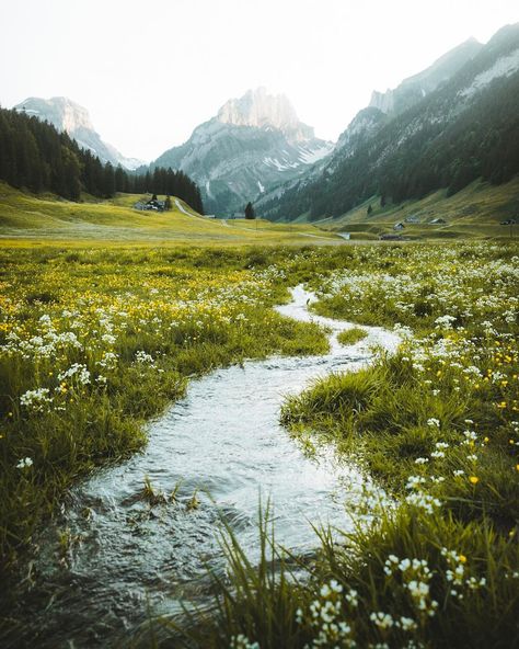 joni | Switzerland on Instagram: “A small river flowing through a grassland full of flowers. Found this beautiful spot when @simehedinger and I walked up to the Fälensee.…” River Flowing, Natural Photography, Scenic Photography, Pretty Landscapes, December 13, Landscape Scenery, Nature Tattoos, Natural Beauty Tips, Subscription Boxes