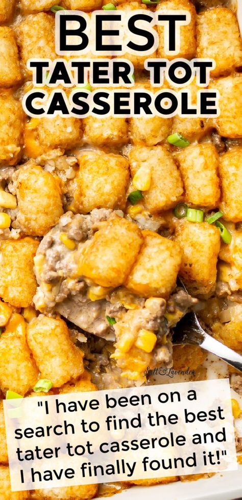 Best Tater Tot Casserole, Easy Tater Tot Casserole, Tater Tot Casserole Recipes, Tot Casserole, Tater Tot Casserole, Beef Casserole Recipes, Tater Tots, Supper Recipes, Beef Recipes Easy