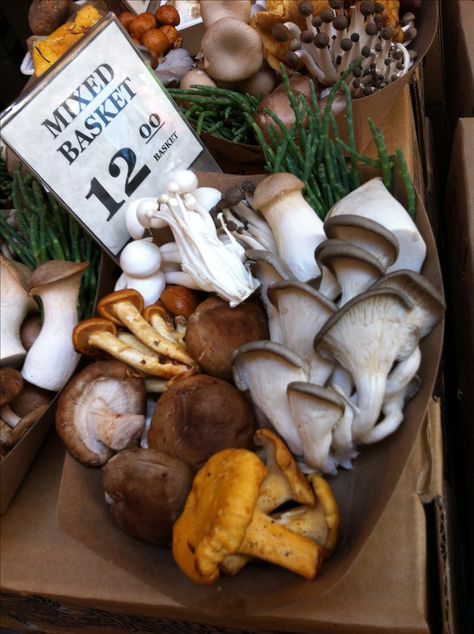 Farmers Market Ideas, Farm Market Ideas, Dallas Farmers Market, Farmers Market Stand, Farmers Market Booth, Farmers Market Display, Mushroom Kits, Mushroom Grow Kit, Mushroom Growing