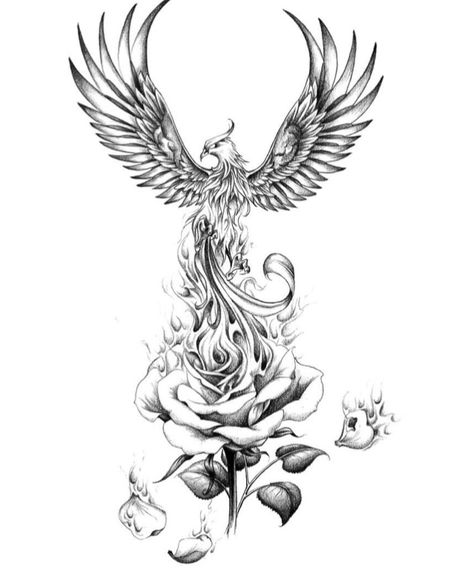 Burning Flower Tattoo Design, Lotus Flower With Phoenix Tattoo, Phoniex Back Tattoo Women, Phoenix With Roses Tattoo, Rose And Phoenix Tattoo, Burning Pheonix Tattoo, Phoenix Rising From Flames Tattoo, Order Of The Phoenix Tattoo, Phoenix With Lotus Tattoo