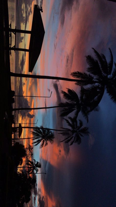 Fiji Wallpaper, Fiji Aesthetic, Fiji Sunset, Suva Fiji, Travis Scott Iphone Wallpaper, Daniel Silva, Aesthetic Coconut, Fiji Islands, Creative Profile Picture