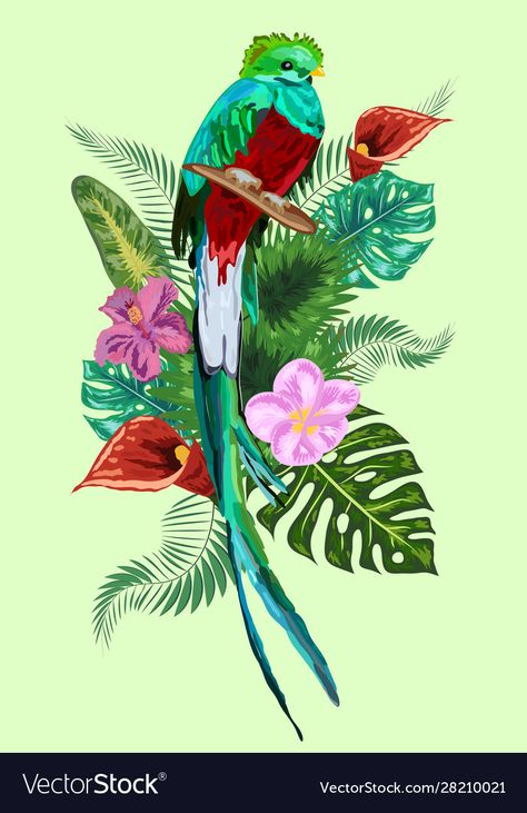 Quetzal Tattoo, Quetzal Green, Quetzal Bird, Guatemalan Art, Costa Rica Art, Water Lily Tattoos, Hispanic Art, Symbol Of Freedom, School Murals