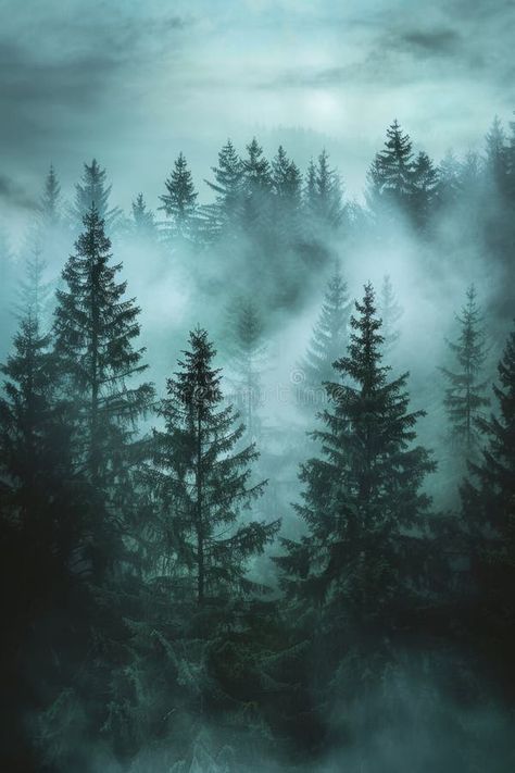 Misty foggy forest, fir mountains, natural mist landscape, dark woods view, mystery clouds on pine trees stock images Misty Nature Aesthetic, Foggy Woods Painting, Misty Forest Painting, Misty Pine Forest, Mist Landscape, Foggy Woods, Mist Forest, Foggy Trees, Misty Trees