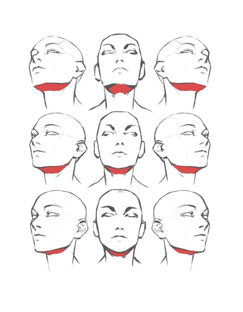 Head Leaned Back Drawing, Head Up Reference Drawing, Slightly Tilted Head Reference, Drawing Reference Head Angles, Drawing Heads Angles, Body Angles Drawing, Face Up Drawing, Drawing The Head, Head Looking Up Reference Drawing