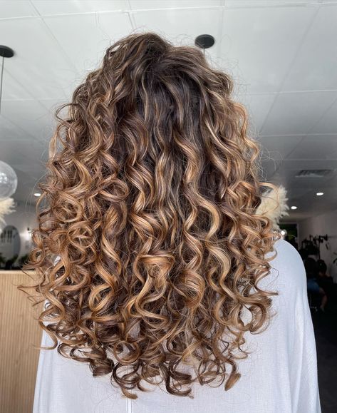 Highlight Ideas For Curly Hair, Curly Hair With Blonde Ends, Dark Curly Hair With Balayage, Brunette Permed Hair, Curly Hair With Balayage Highlights, Caramel Balayage Brunette Curly Hair, Curly Blond Highlight, Curly Hair Color Ideas Highlights Caramel Curls, Brunette Hair With Blonde Highlights Curly