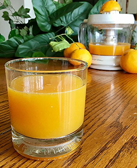 Fresh Orange Juice #MyAllrecipes #AllrecipesAllstars #Brunchworthy Recipes With Fresh Orange Juice, Fresh Orange Juice Recipes, Fresh Orange, How To Make Fresh Orange Juice, Fresh Squeezed Orange Juice Recipe, Diy Orange Juice, Fresh Orange Juice, Fresh Squeezed Orange Juice, Fresh Orange Juice Aesthetic