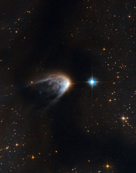 IRAS 14568-6304, The young star is a particularly spectacular sight since it has a protostellar jet. This tail-like formation beneath the star is composed of remnants of gas and dust from the parent cloud that gave birth to the star. | Image credit: NASA/Hubble. Star Space, The Stars, Carl Sagan Cosmos, Nasa Hubble, Hubble Telescope, Hubble Images, Hubble Space, Space Photos, Carl Sagan