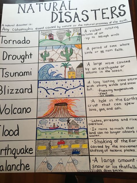 Changes In Ecosystems Activities, Pre K History Activities, Natural Disasters Anchor Chart, Weather Crafts For Elementary Students, 3rd Grade Annotating Text, Natural Disasters Activities For Preschool, Stem For 3rd Grade, 3rd Grade Homeschool Activities, Earth Science Activities Elementary