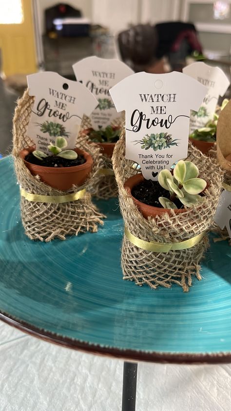 Plant Gender Reveal, Baby Shower Decor Gender Neutral, Garden Baby Shower Theme Boy, Baby Shower Plant Theme, Plant Theme Baby Shower Ideas, Sage Green Baby Shower Decor, Plant Themed Baby Shower Ideas, Succulent Baby Shower Theme, Cactus Centerpieces