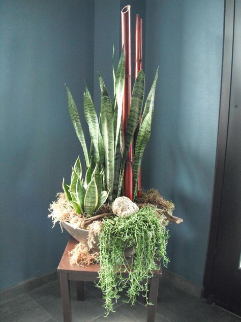 Adding natural elements gives container gardens a custom look, says Joe Guggia, a California floral designer. He incorporates items, such as bamboo, willow and rocks, into his indoor displays. It all starts with the container, from faux stone rounds to slender metal squares to larger baskets. Contemporary Flower Arrangements, Plant Arrangements, Corporate Flowers, Inside Plants, Easy Care Plants, Flowers Arrangements, Plant Decor Indoor, Planter Ideas, Blooming Plants