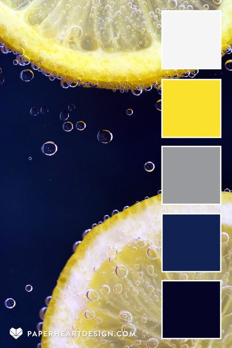 Yellow And Navy Color Palette, Lemon Yellow Color Palette, Utility Makeover, Pickle Bar, Summer Branding, Gray Pantone, Navy Color Palette, Yellow Palette, Color Palette Yellow