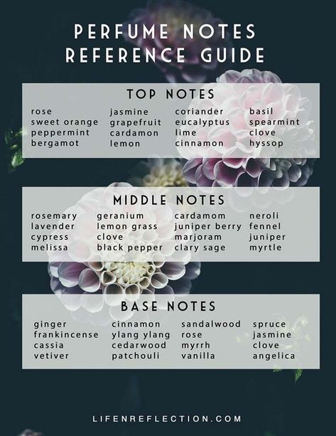 Use this printable perfume notes guide to make your own perfume with essential oils! Notes Reference, Natural Perfume Recipes, Perfume With Essential Oils, Make Your Own Perfume, Perfume Blends, Essential Oil Perfumes Recipes, Perfume Versace, Homemade Perfume, Perfume Recipes