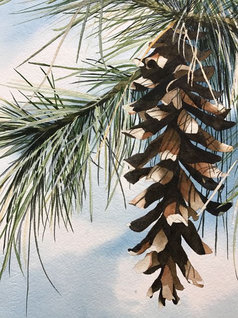 Sugar Pinecone Pine Cones Painting, Pine Branch Painting, Pinecone Painting Acrylic, Pine Needle Painting, Watercolour Pinecone, Pine Cone Painting, Watercolor Pine One, Pine Cone Watercolor, Watercolor Pinecone