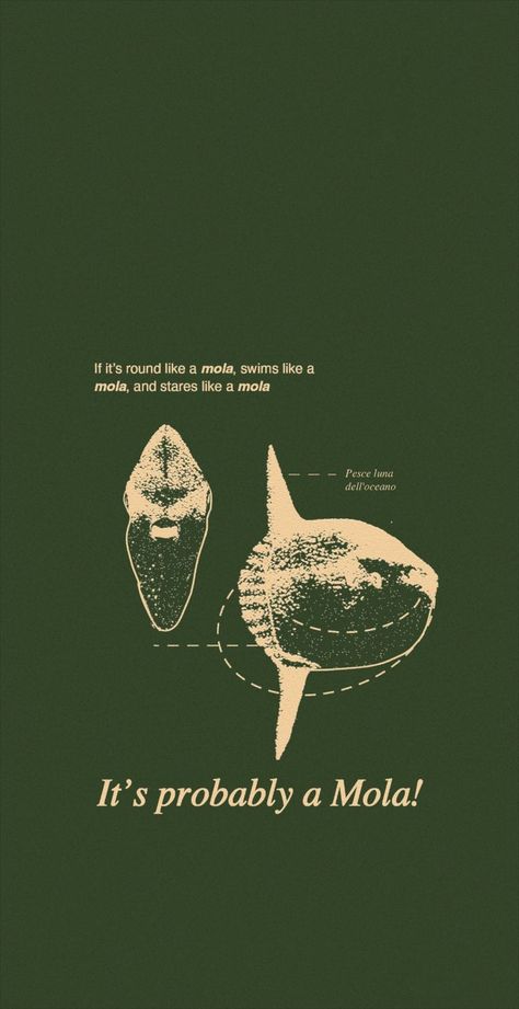 Rustic Illustration, Ios 16 Lockscreen, Ocean Sunfish, Wallpaper Ios 16, Mola Mola, Science Textbook, Aesthetic Lockscreens, Wallpaper Ios, Sepia Photography