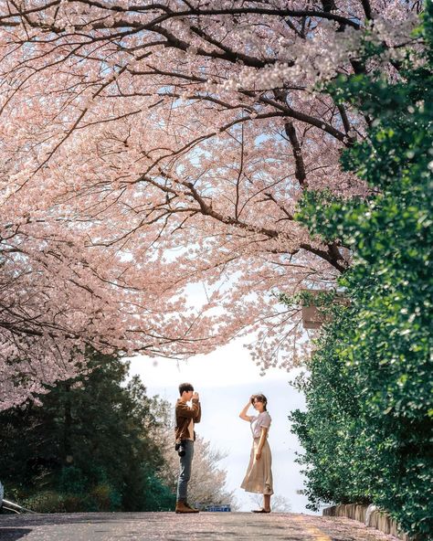 Japanese Couple Photography, Cherry Blossom Couple, Japan Fits, Blossom Photography, Japanese Couple, Japan Cherry Blossom, Nature Vibes, Japanese Photography, Human Interest