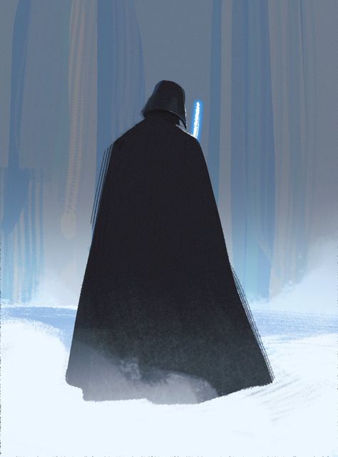 Darth Vader Fan Art, Anakin Darth Vader, Dark Lord Of The Sith, The Fallen Angel, Dark Side Star Wars, Star Wars Anakin, Jedi Knight, Star Trek Ships, Star Wars Fan Art