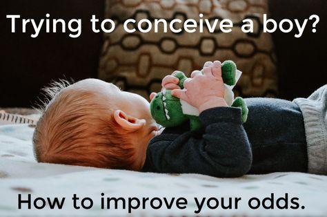 Conceive Twins, How To Conceive Twins, Conceiving A Boy, How To Conceive, Having A Baby Boy, Conceiving, Baby Care Tips, Trying To Conceive, Twin Babies