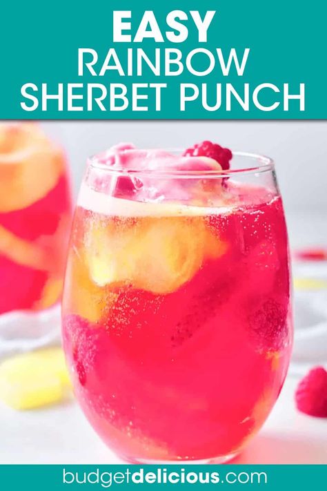 Rainbow Sherbet Punch is a colorful and festive beverage that's so easy to make! With just 4 ingredients and a handful of minutes, you can serve up this eye-catching punch at all sorts of celebrations, from BBQs, Memorial Day, and graduations to birthday parties, bridal showers, and all the major holidays. This is a delicious fruit punch that'll be a hit with both kids and adults alike. Click through to get this awesome Rainbow Sherbet Punch Recipe!! #sherbetpunch #rainbowsherbet #partypunch Kids Christmas Drinks, Chicken Recipes On A Budget, Rainbow Sherbet Punch, Easter Punch Recipes, How To Make Sherbet, Easter Punch, Punch Recipes For Kids, Sherbet Punch Recipes, Rainbow Punch