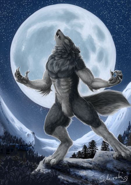 Wolf Meme, Alpha Werewolf, Wolf Images, Alpha Wolf, Werewolf Art, Cat Hacks, Wolf Wallpaper, Wolf Drawing, Wolf Pictures