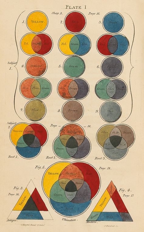 Primitive Colors, Tertiary Color, Color Mixing Chart, Color Studies, Color Wheel, Color Theory, Art Techniques, Art Tutorials, Art Lessons