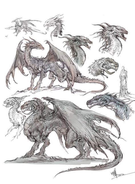 Dragon designs. #design #idea #anatomy #wyvern  #heads #body #muscles #reptile #lizard #beast Types Of Monsters, Dragon Concept, Dragon Anatomy, Dragon Drawings, Dragon Sketch, 다크 판타지, Creature Drawings, Fantasy Creatures Art, Dragon Artwork