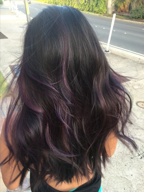 Dark Hair W Purple Highlights, Purple Underside Hair, Brunette With Fun Color Highlights, Purple Blended Hair, Black Hair Plum Highlights, Brown Hair With Purple Highlights Subtle, Purple Hair Ideas Highlights, Purple Brown Hair Highlights, Brown Hair With Hair Dye