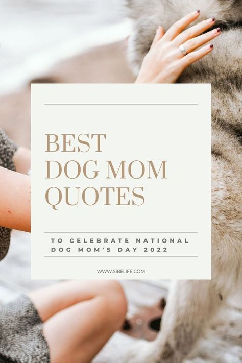 National Dog Mom's Day is such a special day for us dog moms! So, in honor of this upcoming National Dog Mom's Day, I put together 85 dog mom quotes to celebrate us! Share these heartwarming dog mom quotes with your dog mom friends or use them for your Instagram caption! #dogmomquotes #dogmomlife #dogquotes #dogmomsayings Dog Mom Quotes Mothers Day, Dogs Are The Best Quotes, I Love My Dog Quotes Funny, Dog Mommy Quotes, Dog Is My Best Friend Quote, Dog Is Better Than Human Quotes, Thankful For My Dog Quotes, Pet Quotes Dog Love, Dog Lover Captions