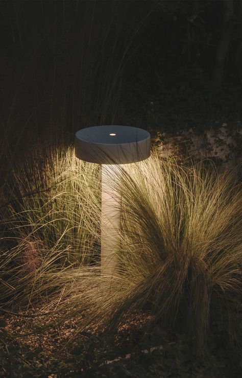 Garden Lighting Design, Park Lighting, Landscape Lighting Design, Mushroom Lights, Outdoor Path Lighting, Outdoor Garden Lighting, Bollard Lighting, Residential Lighting, Plant Lighting