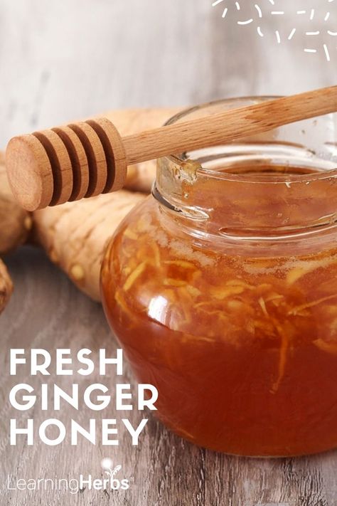 Honey Remedies, Ginger Honey, Ginger Drink, Honey Benefits, Blood Sugar Diet, Health And Fitness Magazine, Honey Tea, Culinary Herbs, Ginger Recipes