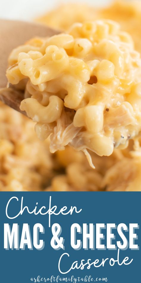 Baked Mac And Cheese And Chicken, Macaroni And Chicken Casserole, Chicken And Macaroni, Chicken Macaroni Casserole Recipes, Easy Chicken Mac And Cheese, Baked Mac And Cheese With Chicken, Macaroni And Cheese And Chicken, Macaroni Chicken, Creamy Chicken Mac And Cheese