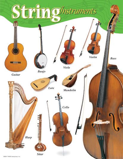 cover Instrument Families, Wedding Musicians, Instruments Art, Music Appreciation, Teacher Supplies, Music Class, Percussion Instruments, Elementary Music, Music Classroom