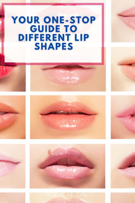 Lips are one of the most beautiful parts of our face. Lips define the aesthetic of a face. A so-called ‘perfect lip shape’ doesn’t exist. Everyone is born with a unique lip shape that represents that person’s uniqueness. After our eyes, lips accentuate the attention. This one-stop guide will discuss the pattern of grooves and wrinkles of different lip shapes and tips for enhancing their appearance. Lip Filler Shapes Chart, Lip Ideas For Small Lips, Angelic Lips Shape, Lip Augmentation Shapes, Medium Lips Size, Where To Inject Lip Filler, Small Upper Lip Big Bottom Lip, Types Of Lip Filler Shapes, Lip Filler Inspo Heart Shape