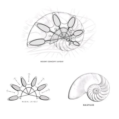 Organic Shaped Architecture, Organic Forms Design Architecture, Organic Modular Architecture, Organic Forms Architecture, Organic Architecture Plan, Form Concept Architecture, Organic Architecture Concept Sketch, Architectural Forms Concept Shape, Biomimicry Architecture Concept